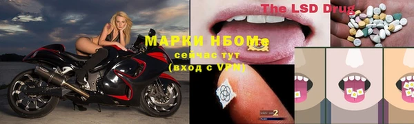 стаф Богданович