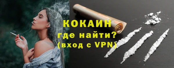 стаф Богданович