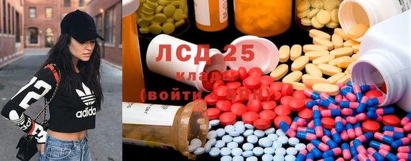 стаф Богданович