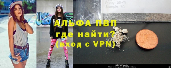 стаф Богданович