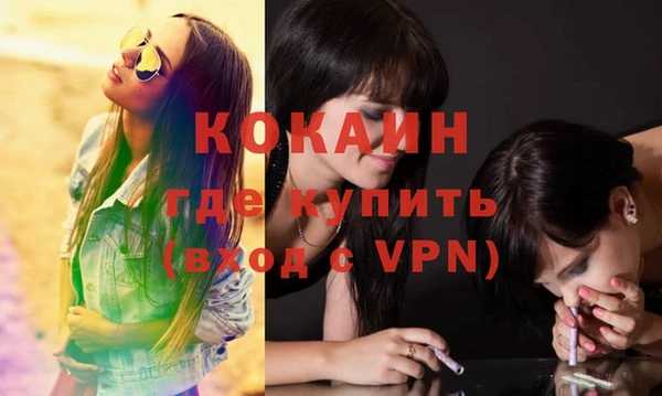 стаф Богданович