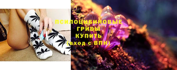 стаф Богданович