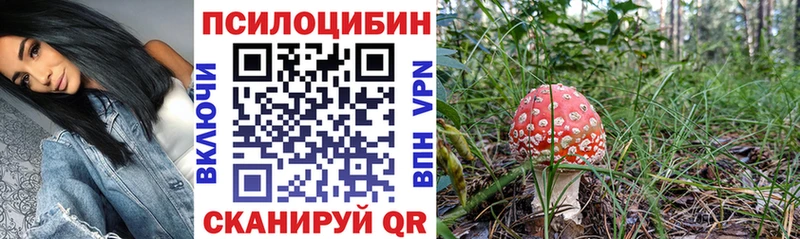 где можно купить   Назарово  Галлюциногенные грибы Magic Shrooms 